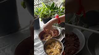 Adding new plant seeds youtubeshorts gardening holder youtube music [upl. by Jonah]