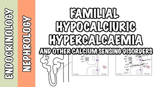 Familial Hypocalciuric Hypercalcemia  other calcium sensing disorders  pathophysiology treatment [upl. by Barthel]