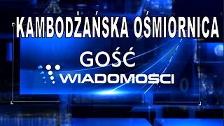 KAMBODŻAŃSKA OŚMIORNICA  GOŚĆ WIADOMOŚCI [upl. by Yreved986]