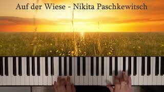 Nikita Paschkewitsch  Auf der Wiese  Silvi F  Piano [upl. by Ingemar670]