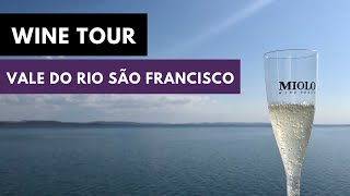 Wine Tour Vale do Rio São Francisco [upl. by Jones]