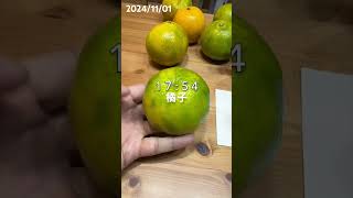 20241101斷食紀錄 fasting 168斷食 減肥日記 斷食 每日飲食記錄 vlog [upl. by Nesila296]