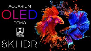 Aquarium OLED Demo HDR 8K Ultra HD Dolby Vision™ 60fps [upl. by Allyce]