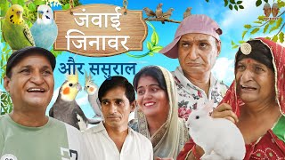 जानवर जंवाई और ससुराल janwar janwai aur sasural  Rajasthani Haryanvi comedy  murari lal comedy [upl. by Ened608]