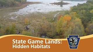 Pennsylvania State Game Lands  Hidden Habitats [upl. by Ijan]