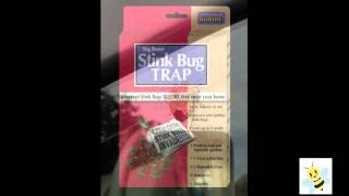 Stink Bugs  How to Control Them with Bonide Traps [upl. by Selmore399]