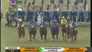 LES SPECIALISTES DU TURF  RACE MEETING 30 26 10 16 [upl. by Eiryk220]