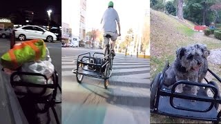 Remolque de bicicleta 2017 [upl. by Kiraa]