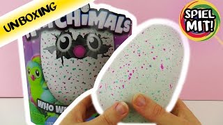 HATCHIMALS MAGISCHES ÜBERRASCHUNGS EI deutsch Spin Master  INTERAKTIVES KÜKEN Haustier  Unboxing [upl. by Avilys]