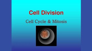 cell cycle M phase Mitosis  Class 9th  Chapter 05  Explain in Hindi and urdu [upl. by Dustie]