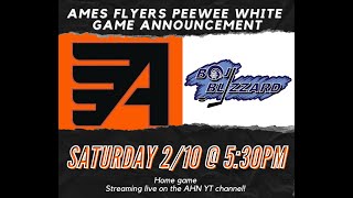 Flyers PW White vs Boji Blizzard 21024 [upl. by Earb]