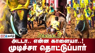 அடடா என்ன காளையா முடிச்சா தொட்டுப்பார் Palamedu Jallikattu 2024 Best Bull  IBC Tamil [upl. by Anayia]