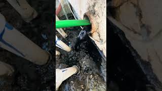 Restoring an 89 Year Old Cast Iron Pipe plumbing shorts [upl. by Porche]