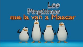 Los Pingüinos me la van a Mascar en 3D [upl. by Akirahs444]