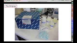 Intro to Biotechnology  Chapter 8  Part 5  Retrieving Plasmids after Transformation [upl. by Ellehcit]