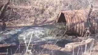 Extreme Beaver Dam Destroying [upl. by Wallie]