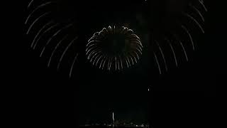 Amazing👍😍🤩 Japanese Fireworks fireworks shortvideo ytshort yt ytshortsindia [upl. by Atneciv295]