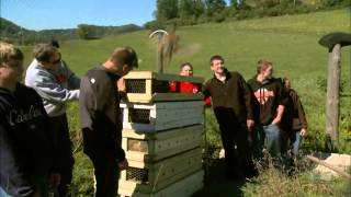 WDNR Pheasant Donation to Richland Center High School [upl. by Sungam758]