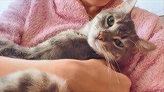 Rescue Cat Falls In Love With His New People Who Cant Stop Hugging Him [upl. by Naman]