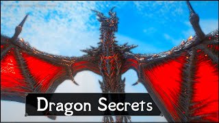 Skyrim 5 Things They Never Told You About Dragons [upl. by Nicolella812]