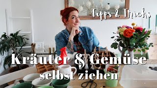 Gartenzeit Kräuter amp Gemüse Aussaat DIY Anzuchttöpfe selbstziehen im März  Sabrina Sterntal [upl. by Datnow]