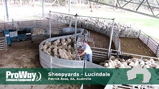 ProWay Sheepyards  Lucindale South Australia [upl. by Kolodgie]