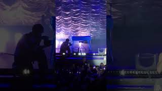 Modern Loneliness Lauv Live in Brisbane Concert [upl. by Barger]