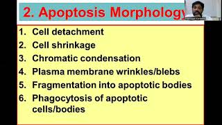 Apoptosis Defination Morphological and biochemical features [upl. by Aifoz]