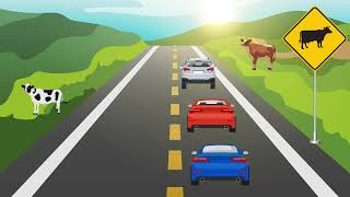 Road Dafety Video  Traffic Rules And Sight For Kids  Kids Educational Video [upl. by Sherwood614]