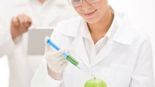 Biotechnology and Its Revolutionary Applications biotechnology class12 biology [upl. by Dnomsed]