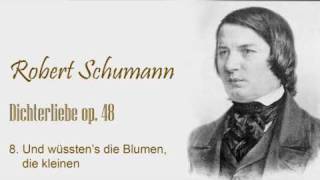 Schumann  Dichterliebe op48  no8wmv [upl. by Suoirred]