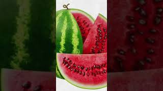 watermelon under microscope  microscope watermelon summer youtube facts asmr science [upl. by Layton503]