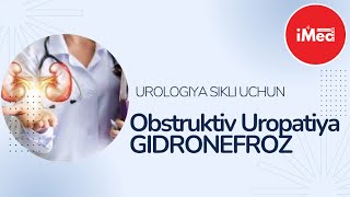 Obstruktiv uropatiya Gidronefroz  urologiya uchun imedteam imed gidronefroz urologiya [upl. by Guinna877]