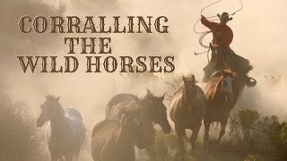 Corralling the Wild Horses [upl. by Ahsac44]