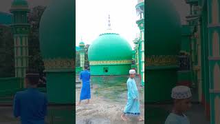 Furfura Darbar Sharif Chhotu hujur Boro Huzoor maja Sharif [upl. by Mamie]