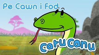 Caru Canu  Pe Cawn i Fod Welsh Childrens Song [upl. by Katusha805]