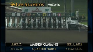 Los Alamitos Replays  Sunday September 01 2024  Race 7 [upl. by Acnoib]