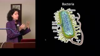 The Secret Language of Bacteria  An ASM quotMicrobes After Hoursquot Event [upl. by Eilojne]