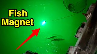 Night fishing with LED light  tips amp tricks [upl. by Shaver]