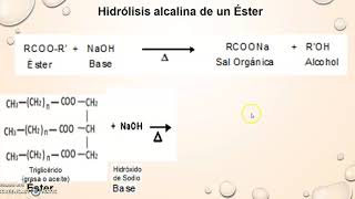 Reacción de Esterificación e Hidrólisis de un Éster [upl. by Iaw137]