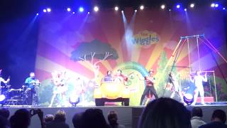 The Wiggles Live in Toronto Ricoh Coliseum [upl. by Birchard463]