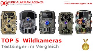 Die besten Wildkameras 2024 TOP 5 🥇 mit Vergleichs Sieger  Gut und günstig [upl. by Katerine396]