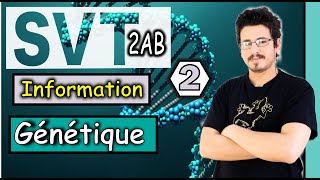 Mitose  transfert de l’information génétique d’une cellule à l’autre Part 2 [upl. by Sundstrom]