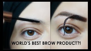 TESTING TATTOO BROWS  Eyebrow Makeup Tutorial [upl. by Ydissahc893]