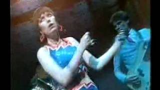 Everbodys on Top of the Pops  The Rezillos [upl. by Chow199]