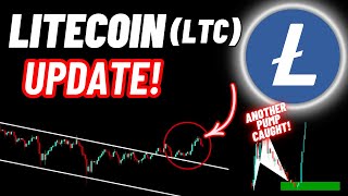 Litecoin LTC Crypto Coin Update [upl. by Gunter826]