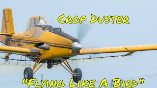 Crop dusting pilot quotFlying like a birdquot cameras on dashwings [upl. by Imogene]