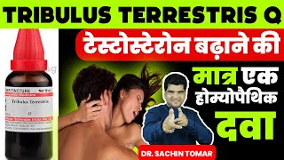 Testosterone increase best homeopathic medicine Tribulus Terrestris Benefits Q Best Uses in Hindi [upl. by Aihsercal]