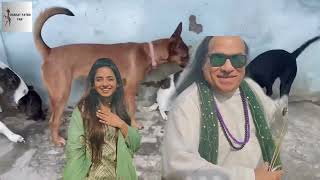 Pao Pao  Chahat Fateh Ali Khan  New Song from the Movie quotSabakquot  2024 Release [upl. by Roche]