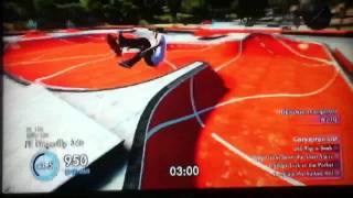 Skate 3 Carvatron List  Owned [upl. by Leticia]